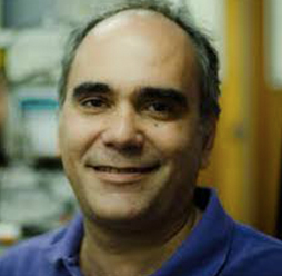Daniel H. Murgida